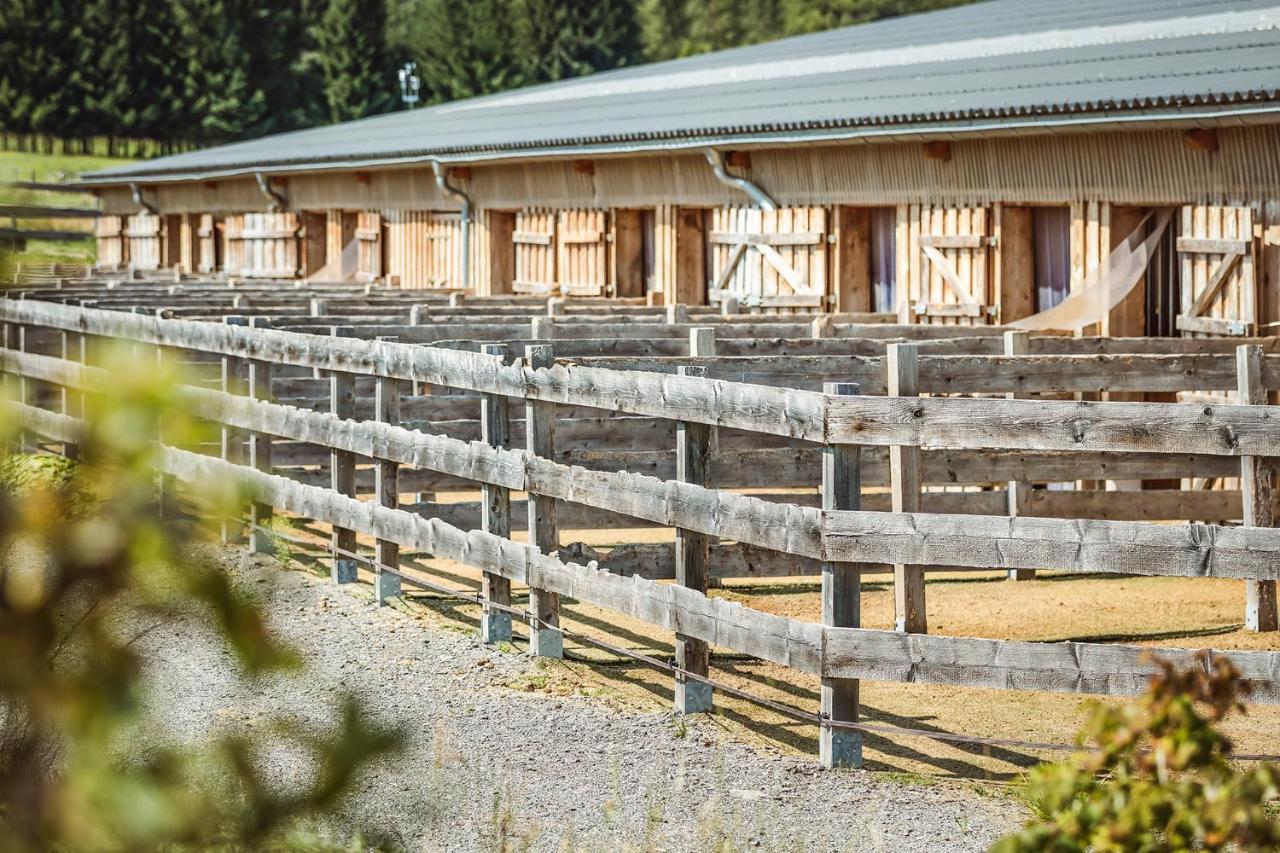 Villa Ranchhouse Bubble - Westernstable - Horse Elterlein Exterior foto