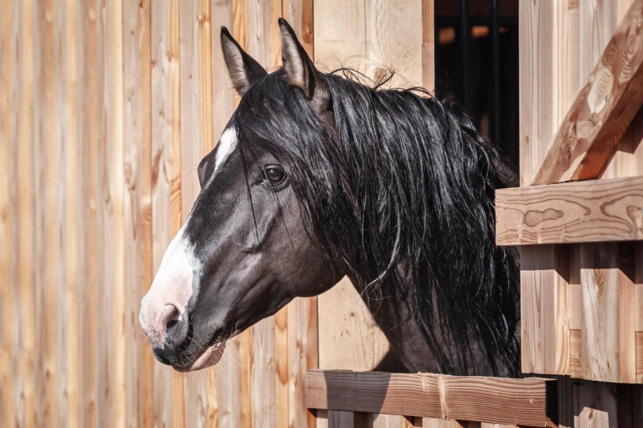 Villa Ranchhouse Bubble - Westernstable - Horse Elterlein Exterior foto